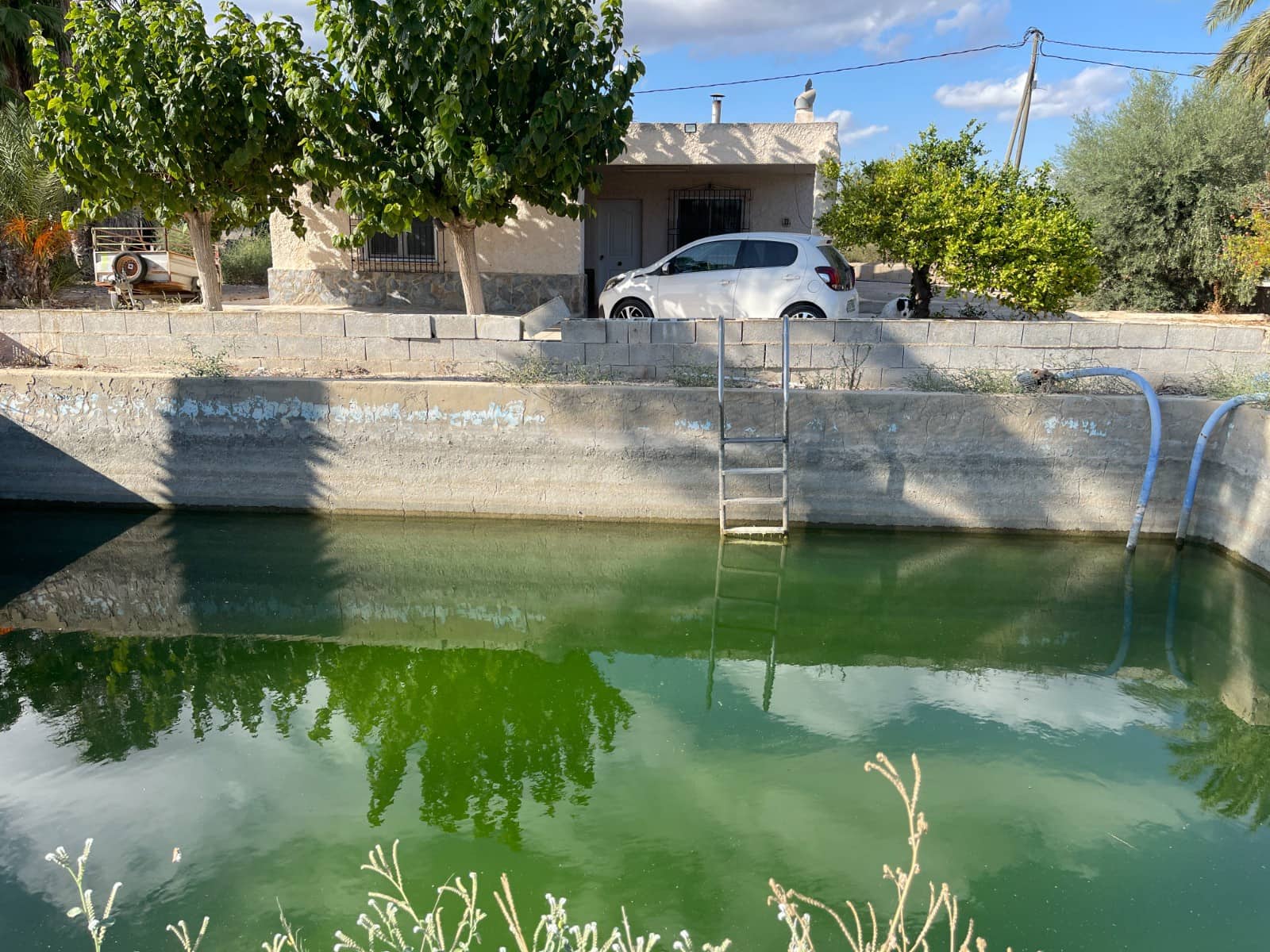 4 bedroom Villa for sale in Crevillente / Crevillent - € 265,000 (Ref: 9590024)