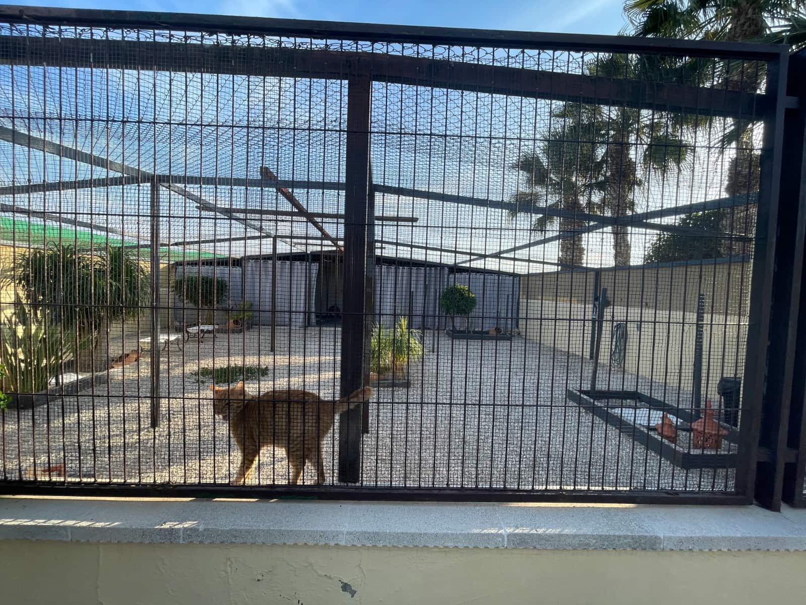 1 makuuhuone Maalaistalo myytävänä paikassa Elche / Elx - 254 000 € (Ref: 9590038)