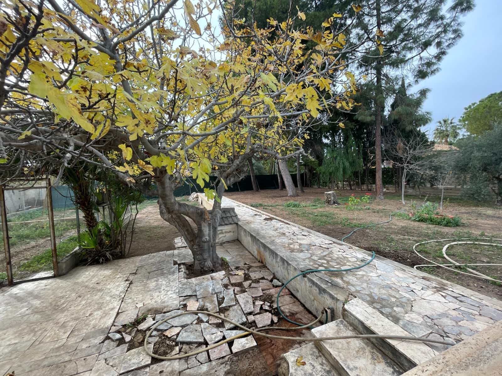 4 makuuhuone Huvila myytävänä paikassa Elche / Elx mukana uima-altaan 
autotalli - 378 000 € (Ref: 9590039)