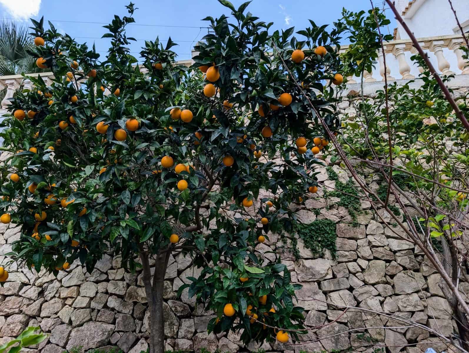 4 sypialnia Willa na sprzedaż w Benissa z basenem garażem - 599 500 € (Ref: 9590083)