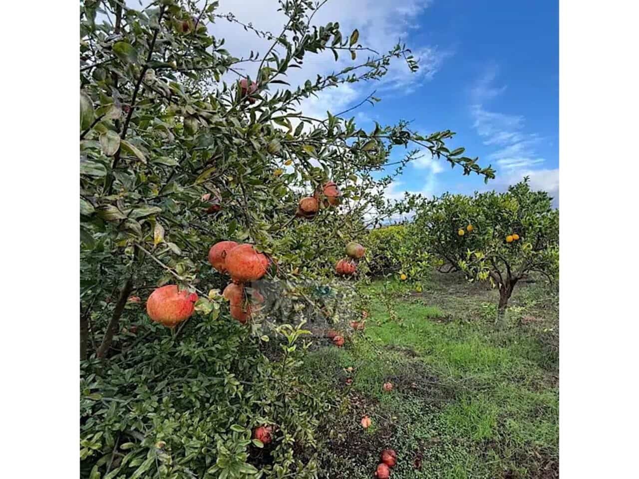6 bedroom Finca/Country House for sale in Alora with pool - € 568,000 (Ref: 9590187)
