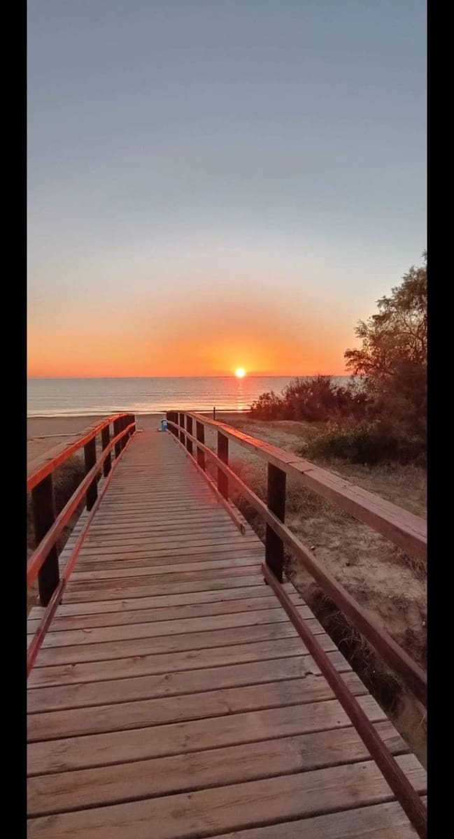 3 makuuhuone Bungalow myytävänä paikassa Torrevieja - 415 000 € (Ref: 9590545)