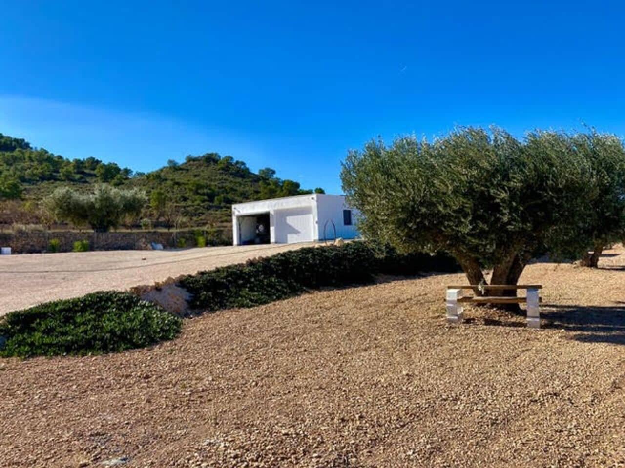 3 soveværelse Villa til salg i Canada de la Lena med swimmingpool - € 385.000 (Ref: 9605523)