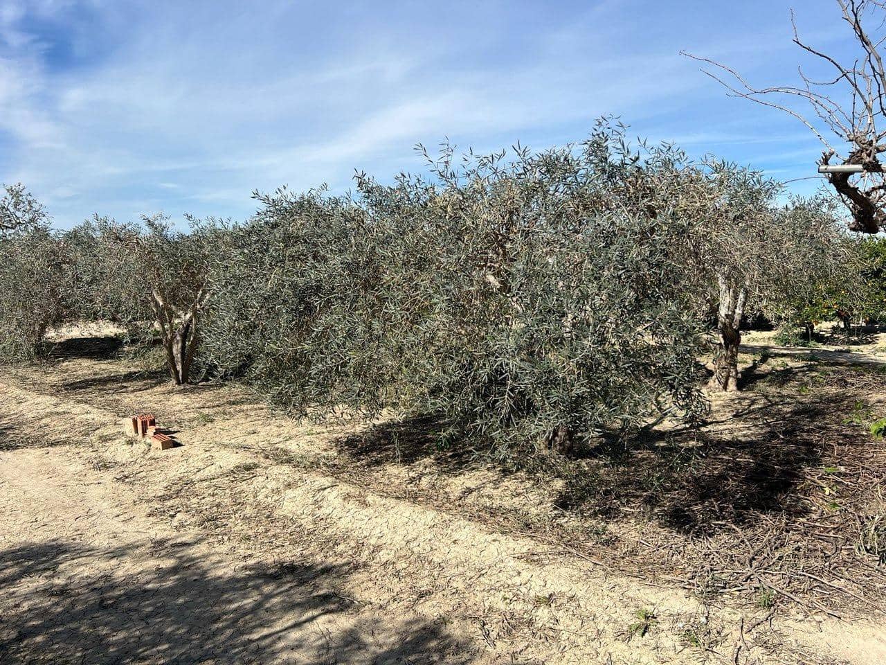 1 bedroom Finca/Country House for sale in Los Montesinos - € 190,000 (Ref: 9611922)