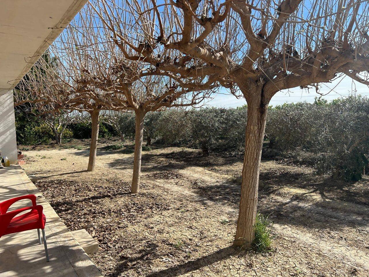 1 bedroom Finca/Country House for sale in Los Montesinos - € 190,000 (Ref: 9611922)