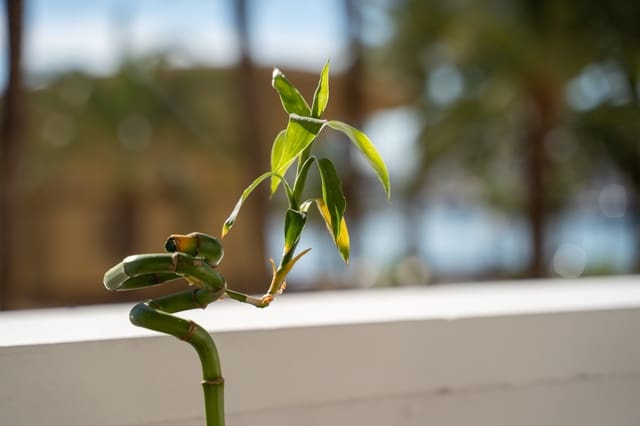 2 camera da letto Appartamento in vendita in Alicante città - 1.100.000 € (Rif: 9614255)