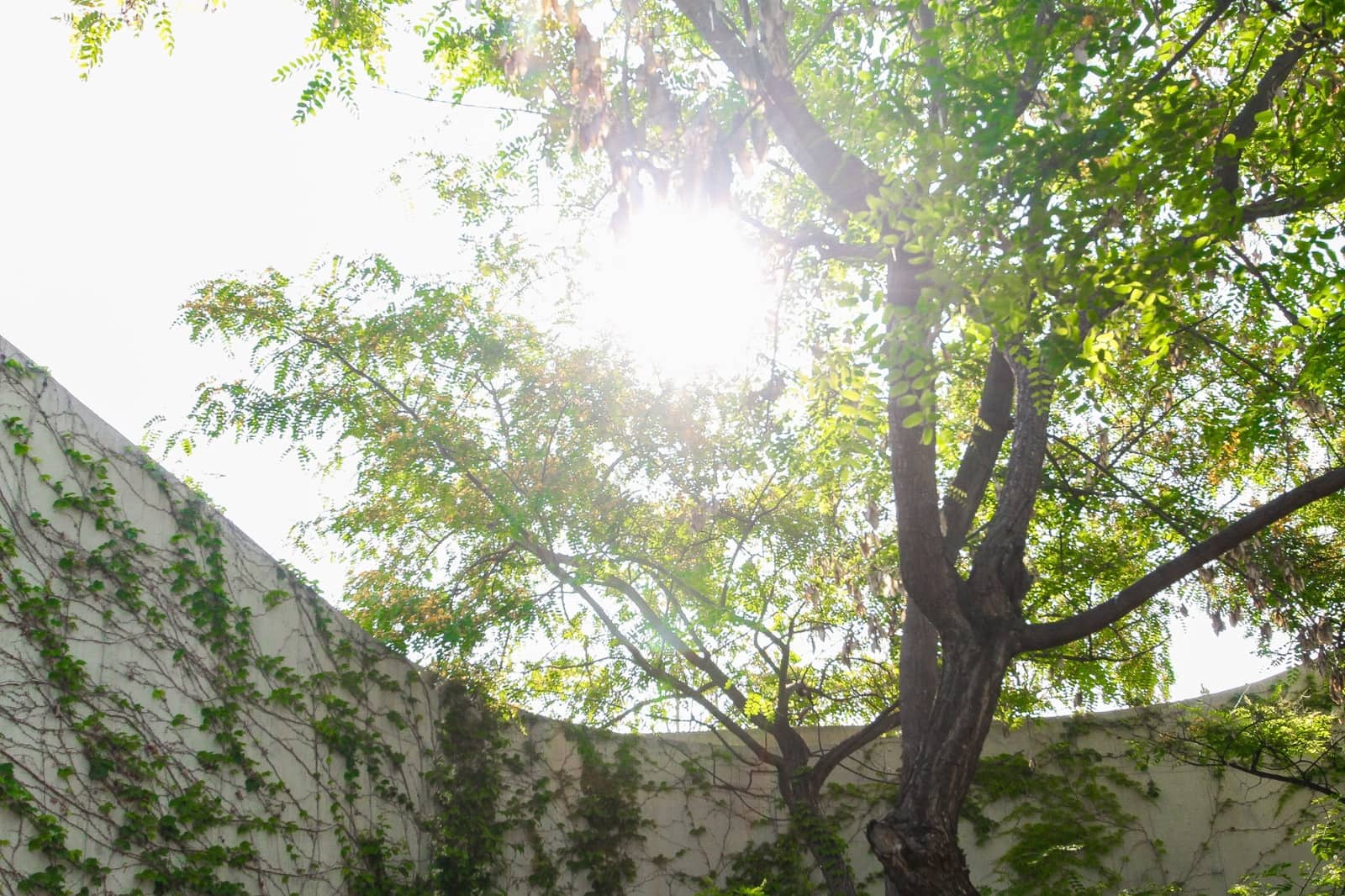 3 soveværelse Villa til salg i San Vicente / Sant Vicent del Raspeig med swimmingpool garage - € 1.250.000 (Ref: 9614260)