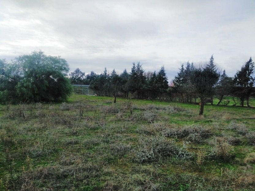 Villa til salgs i Badajoz by - € 300 000 (Ref: 9616010)