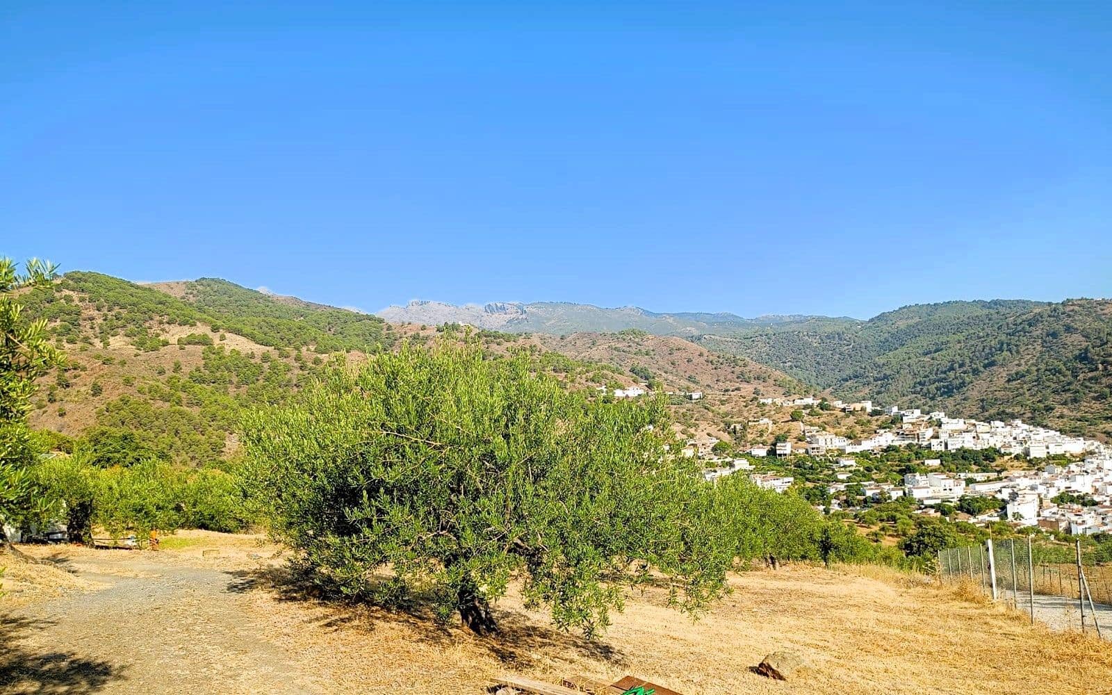 Finka/Dom wiejski na sprzedaż w Tolox - 250 000 € (Ref: 9616020)