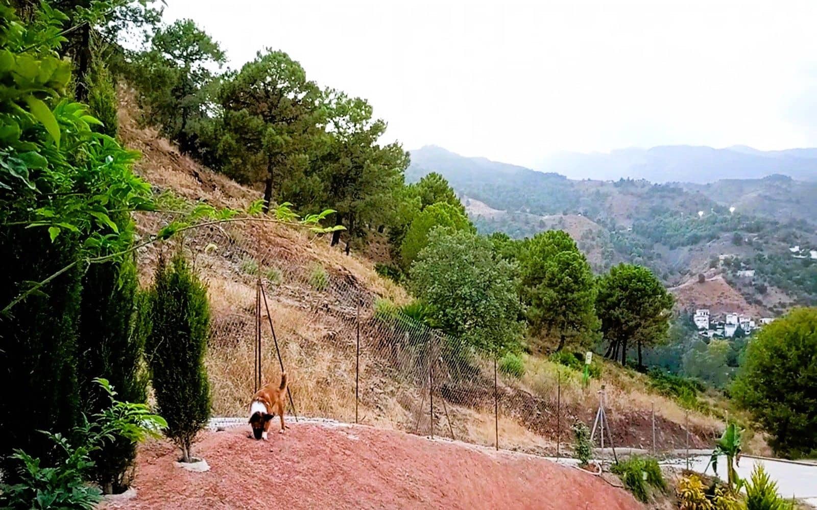 Finka/Dom wiejski na sprzedaż w Tolox - 250 000 € (Ref: 9616020)