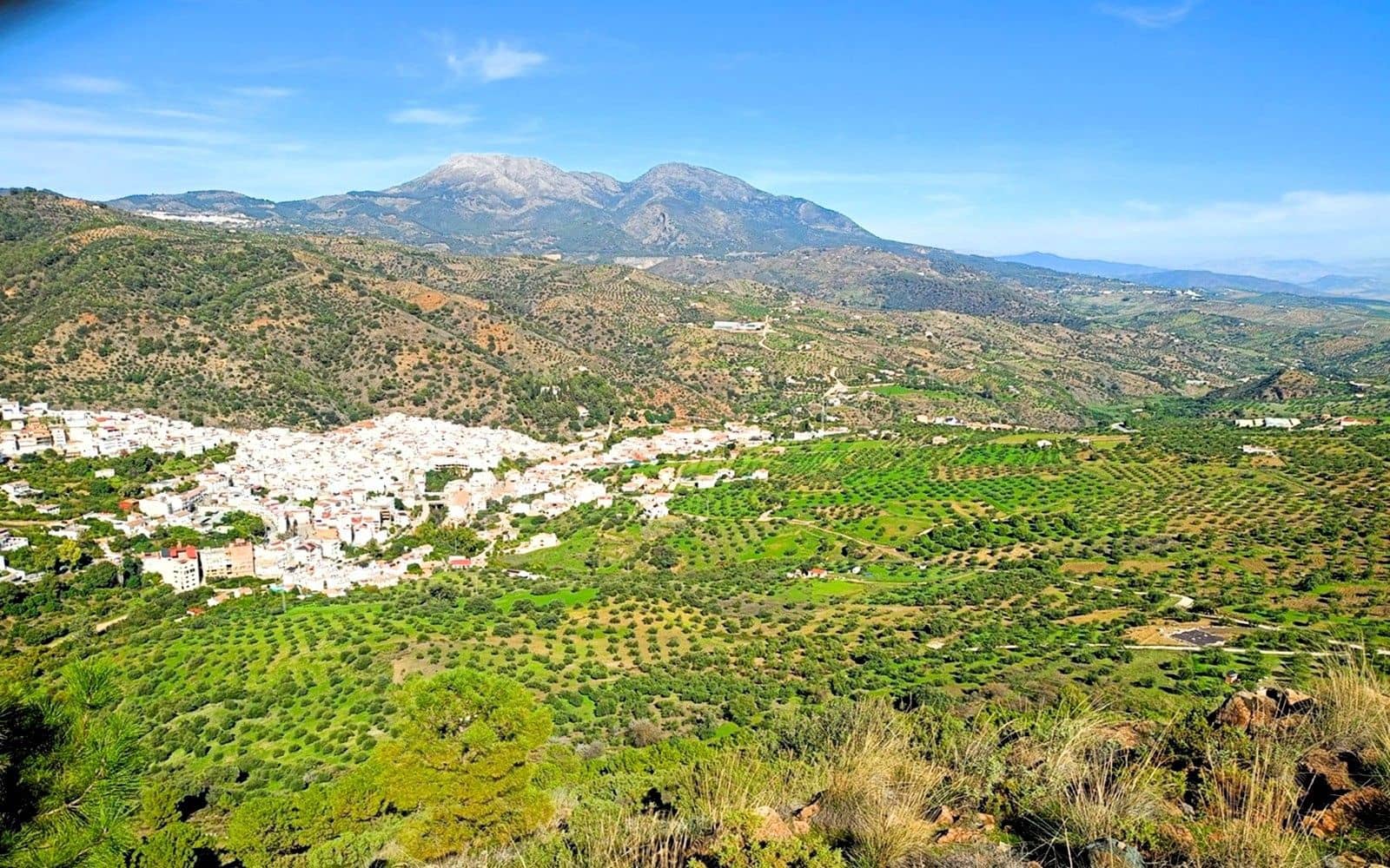 Finka/Dom wiejski na sprzedaż w Tolox - 250 000 € (Ref: 9616020)