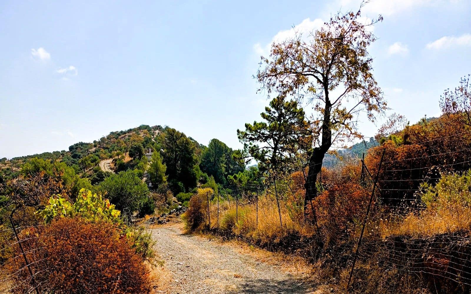 Finka/Dom wiejski na sprzedaż w Tolox - 250 000 € (Ref: 9616020)