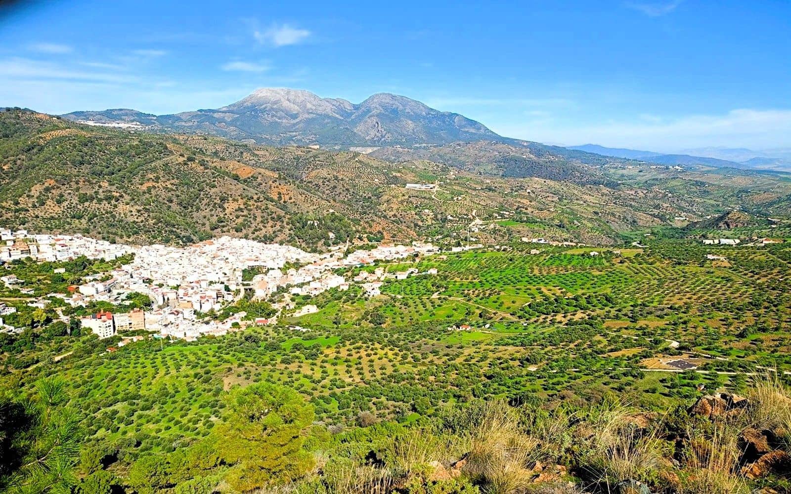 Finka/Dom wiejski na sprzedaż w Tolox - 250 000 € (Ref: 9616020)