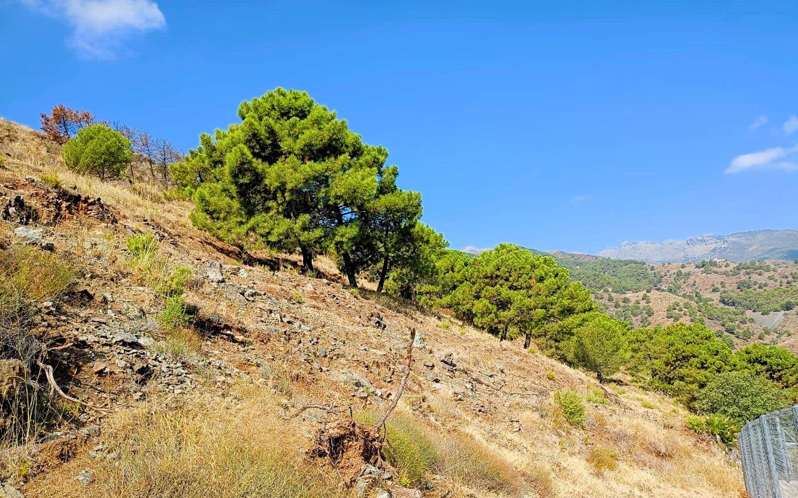 Finka/Dom wiejski na sprzedaż w Tolox - 250 000 € (Ref: 9616020)