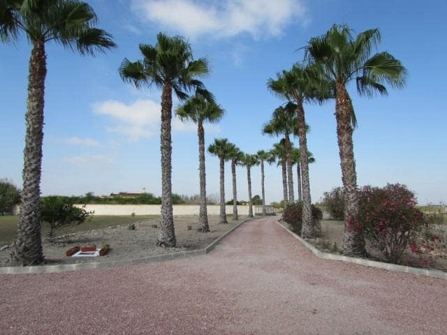 3 bedroom Finca/Country House for sale in Dolores with pool - € 445,000 (Ref: 9619741)