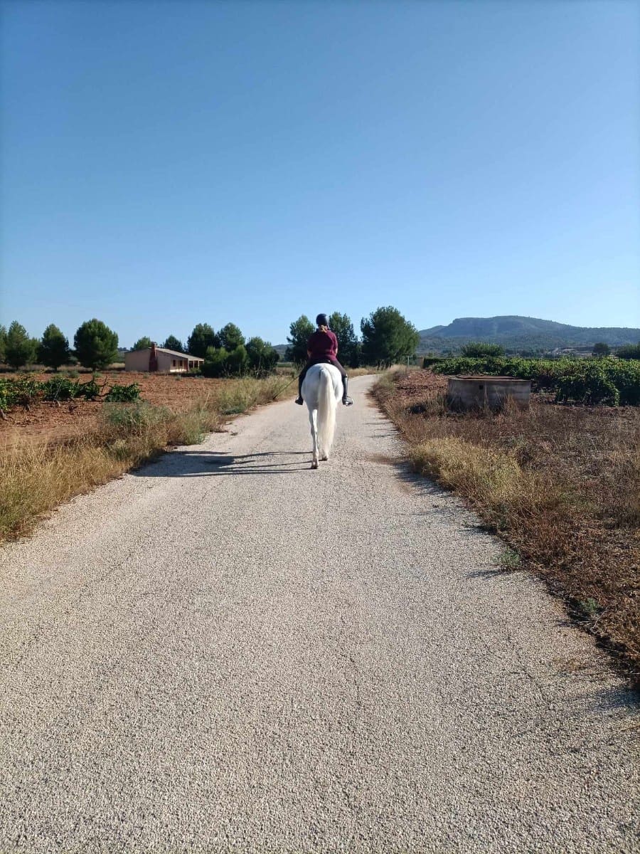 3 makuuhuone Maalaistalo myytävänä paikassa Monovar / Monover mukana uima-altaan 
autotalli - 200 000 € (Ref: 9619786)