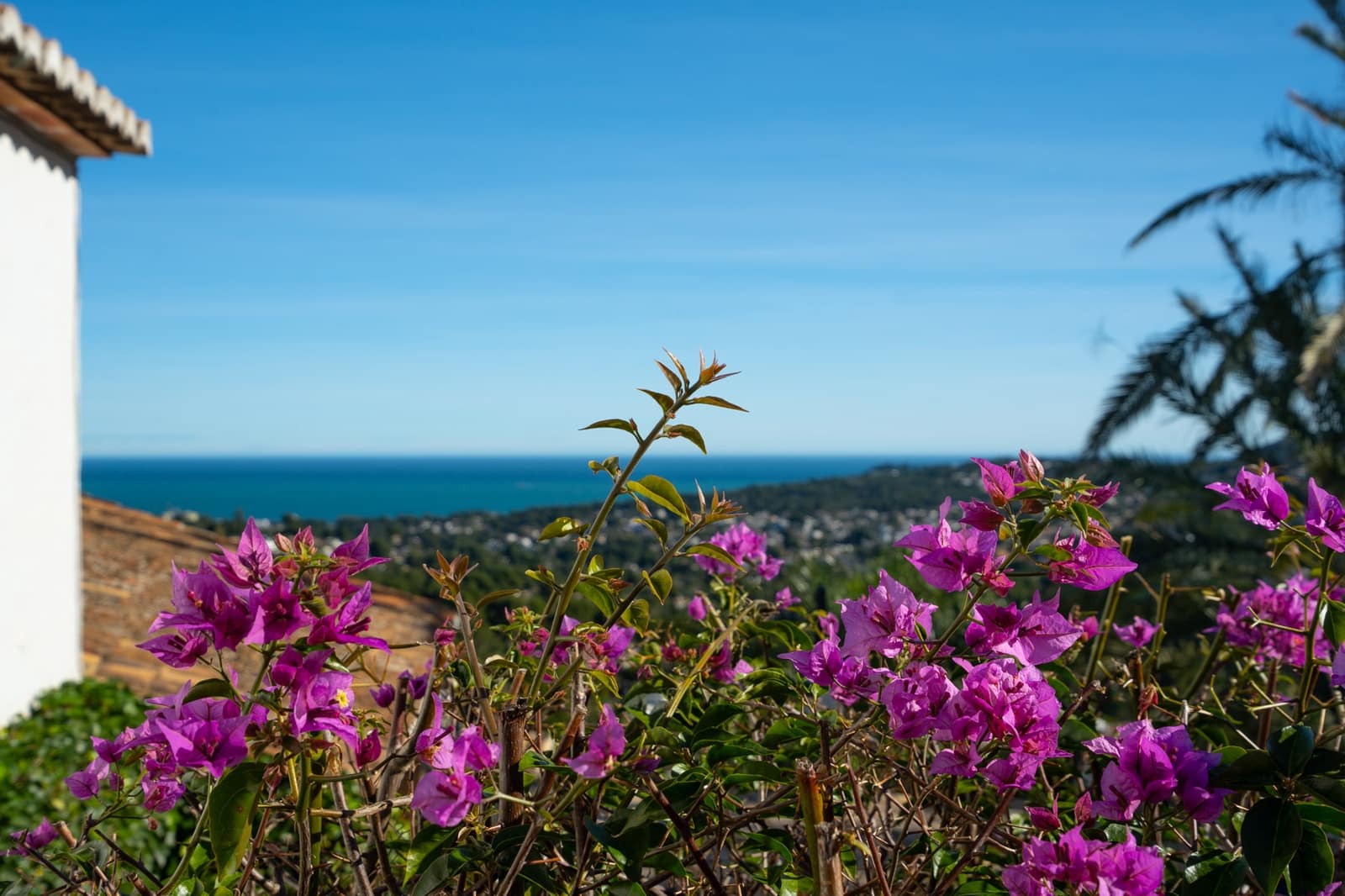 4 makuuhuone Huvila myytävänä paikassa Javea / Xabia mukana uima-altaan 
autotalli - 1 550 000 € (Ref: 9619834)