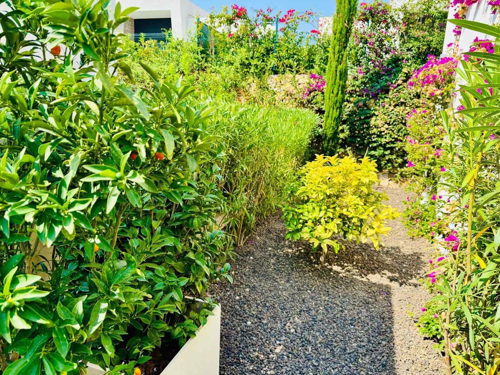 3 sovrum Villa till salu i Algorfa med pool - 650 000 € (Ref: 9628208)