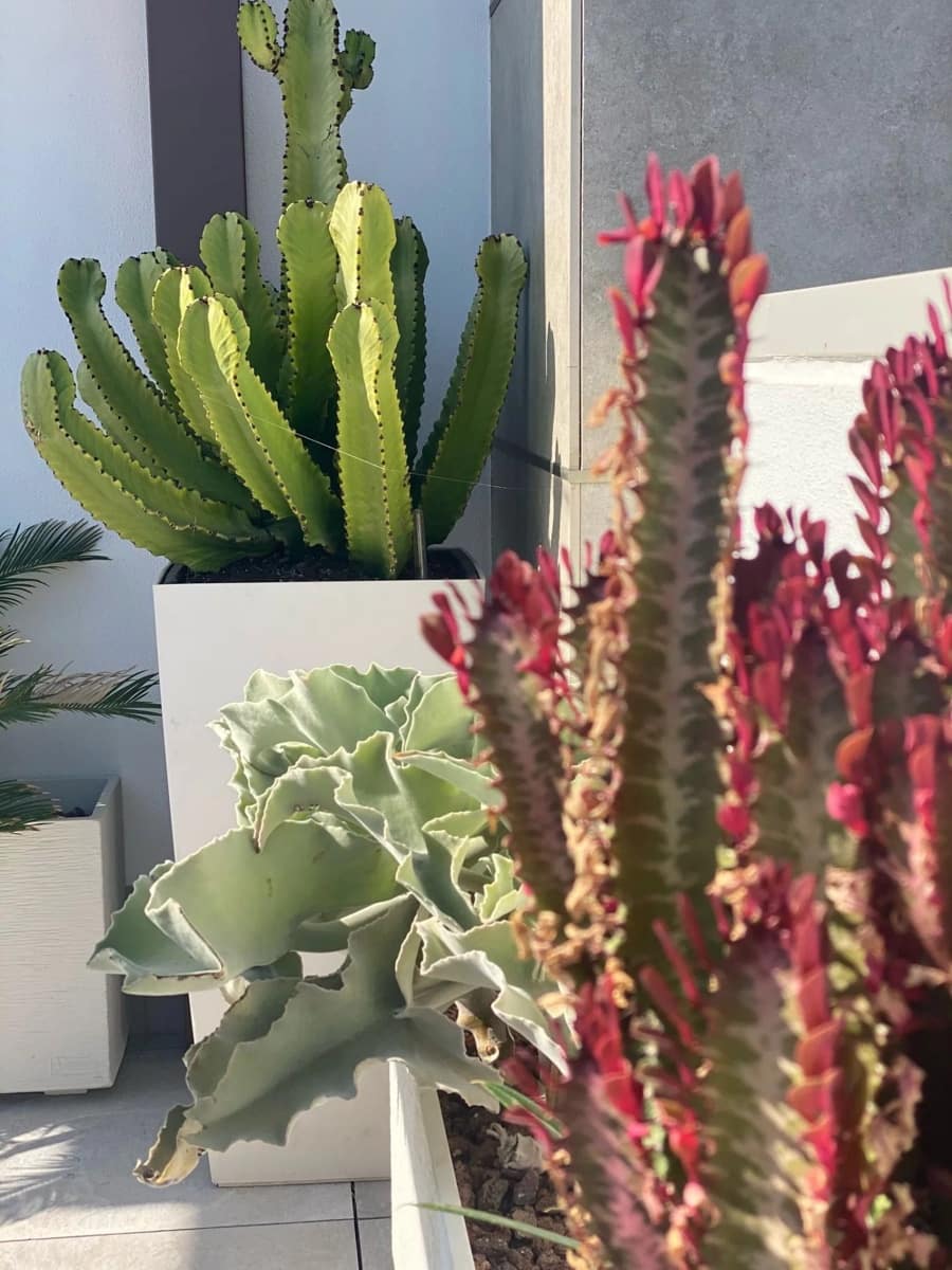 2 soverom Leilighet til salgs i Javea / Xabia med svømmebasseng - € 690 000 (Ref: 9633718)