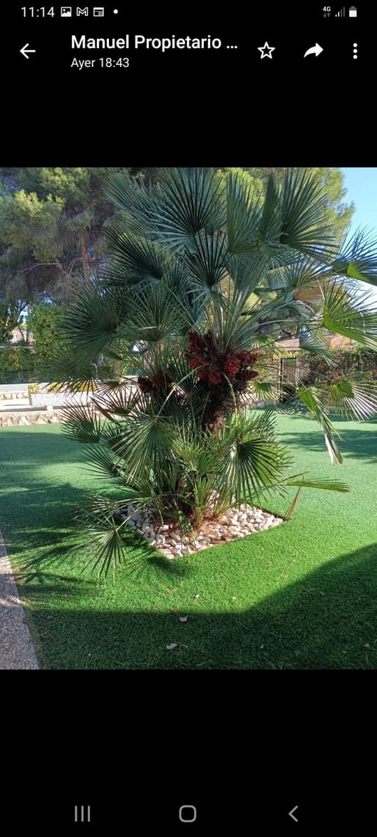 6 sypialnia Willa na sprzedaż w Campoamor z basenem garażem - 889 000 € (Ref: 9637292)