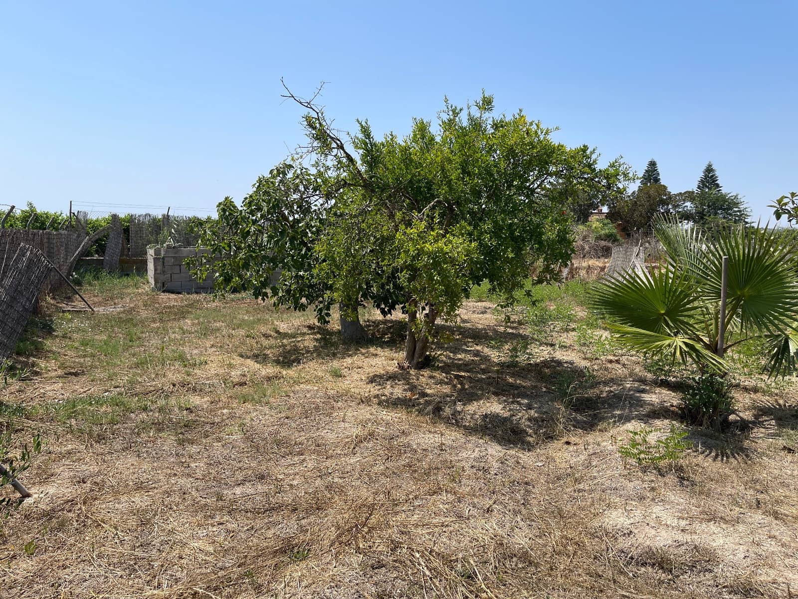 Chalet de 4 habitaciones en Daya Nueva en venta con piscina - 405.000 € (Ref: 9647923)