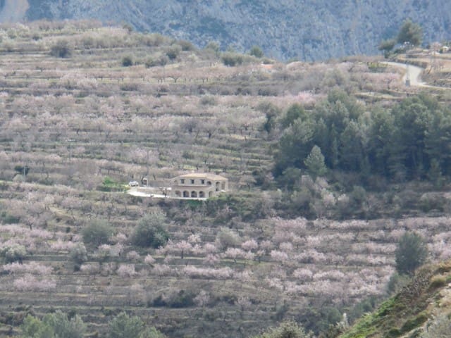 Finca/Casa Rural de 3 habitaciones en Tárbena en venta - 395.000 € (Ref: 9666388)