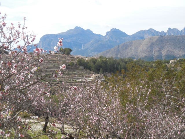 Finca/Casa Rural de 3 habitaciones en Tárbena en venta - 395.000 € (Ref: 9666388)