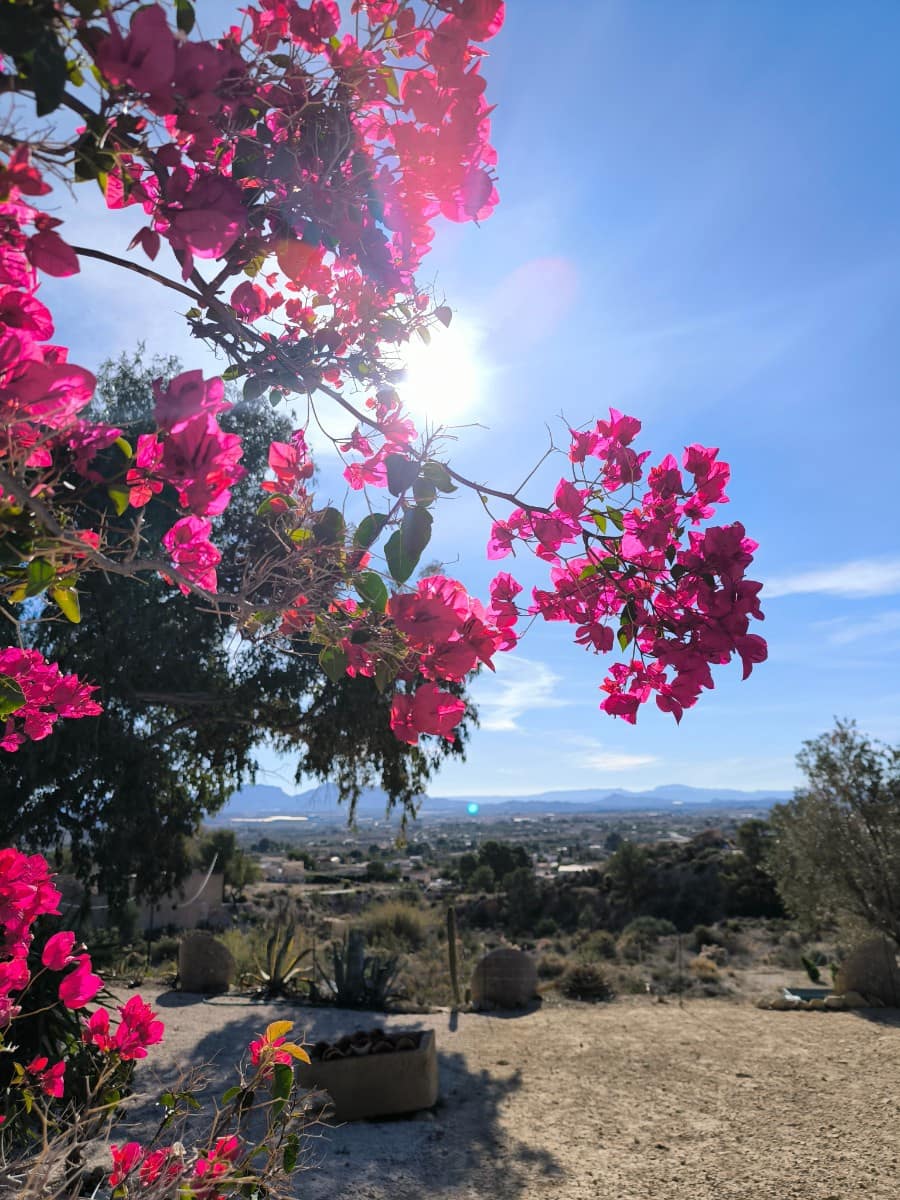 5 soveværelse Finca/Landehus til salg i Fortuna med swimmingpool garage - € 245.000 (Ref: 9694177)