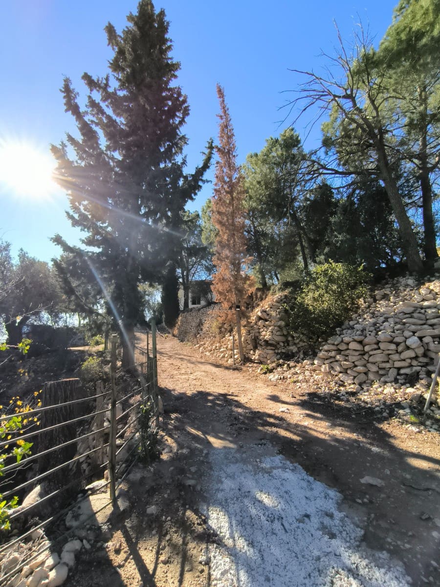 5 soveværelse Finca/Landehus til salg i Fortuna med swimmingpool garage - € 245.000 (Ref: 9694177)