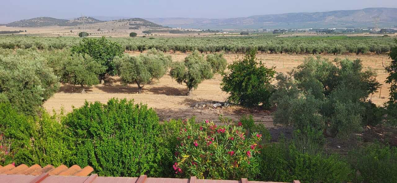 3 soverom Villa til salgs i Biar med svømmebasseng - € 210 000 (Ref: 9694178)