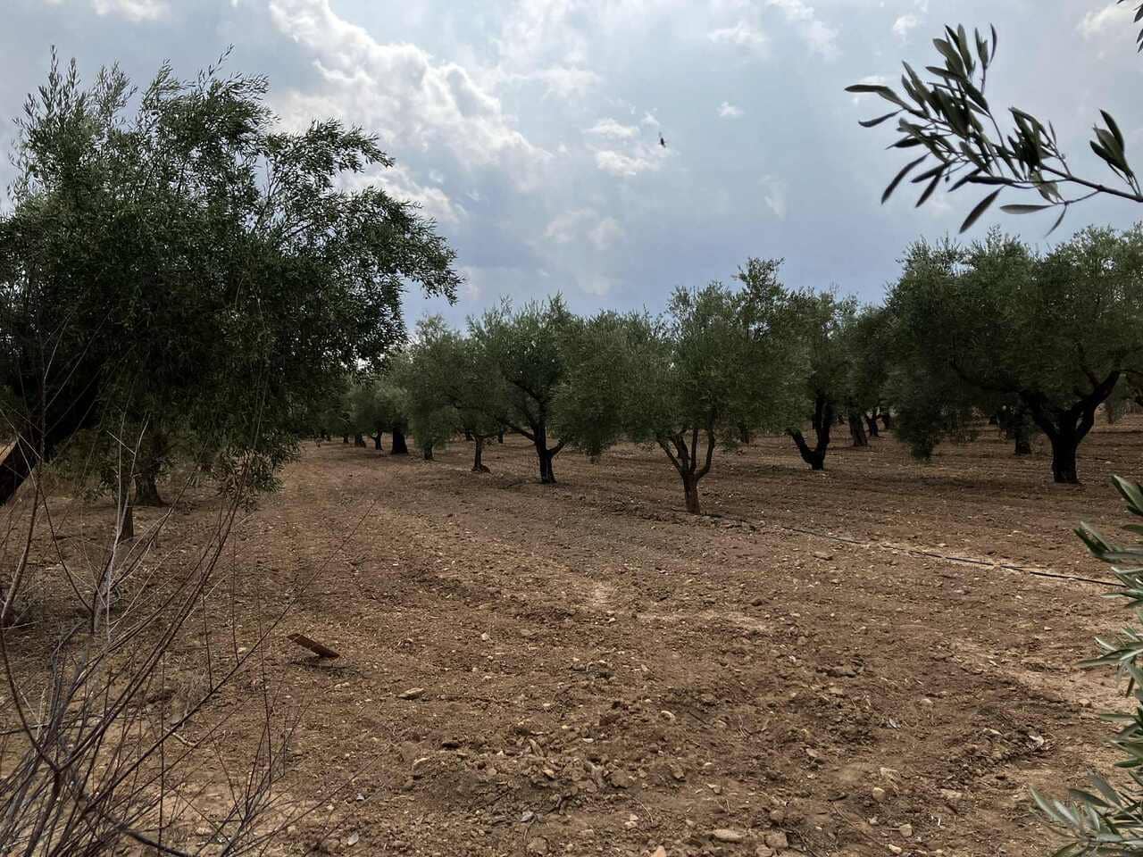 3 soverom Villa til salgs i Biar med svømmebasseng - € 210 000 (Ref: 9694178)