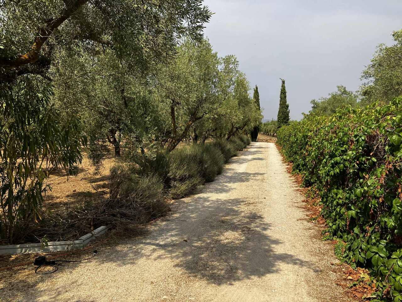 3 soverom Villa til salgs i Biar med svømmebasseng - € 210 000 (Ref: 9694178)