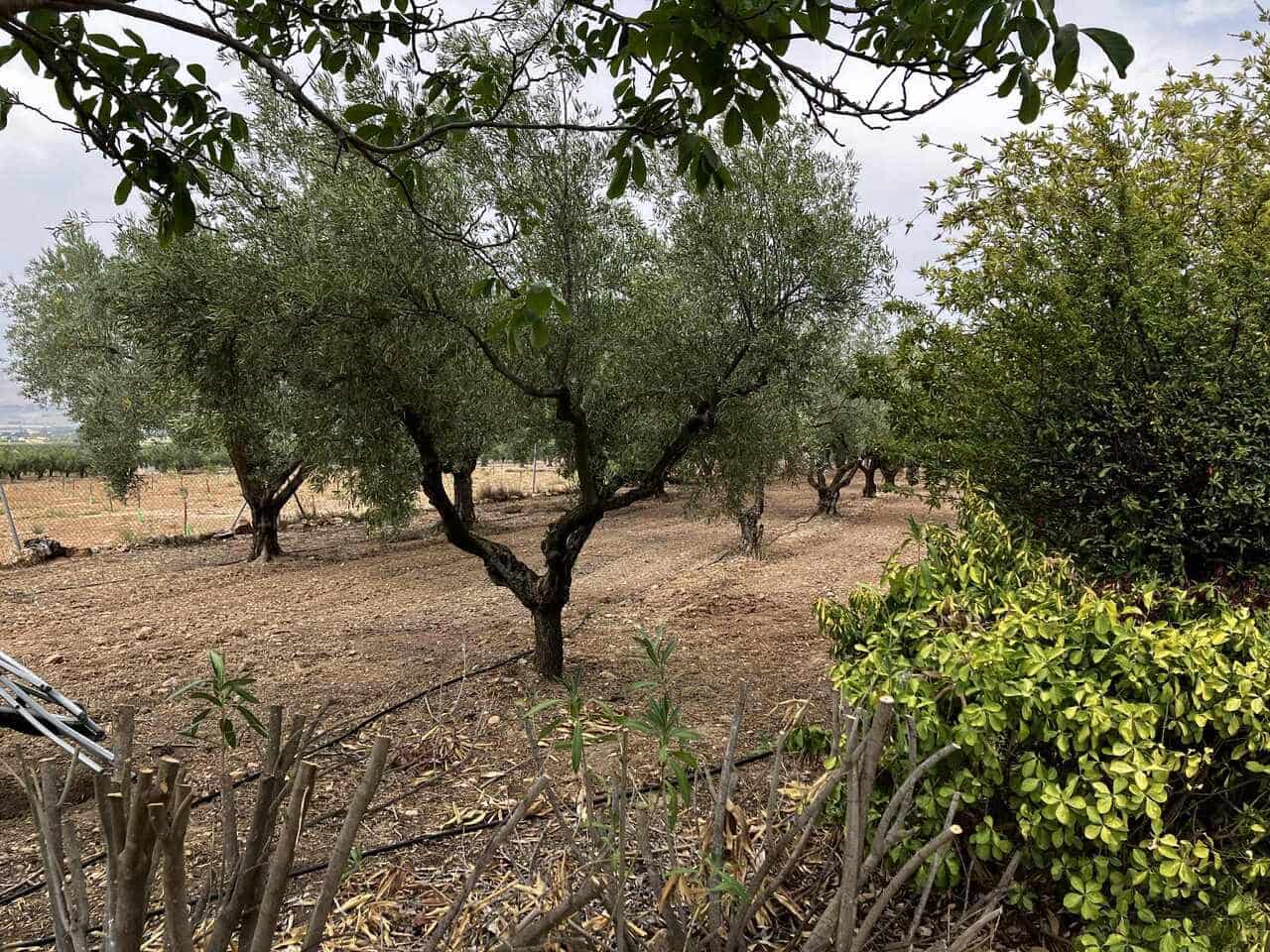 3 soverom Villa til salgs i Biar med svømmebasseng - € 210 000 (Ref: 9694178)