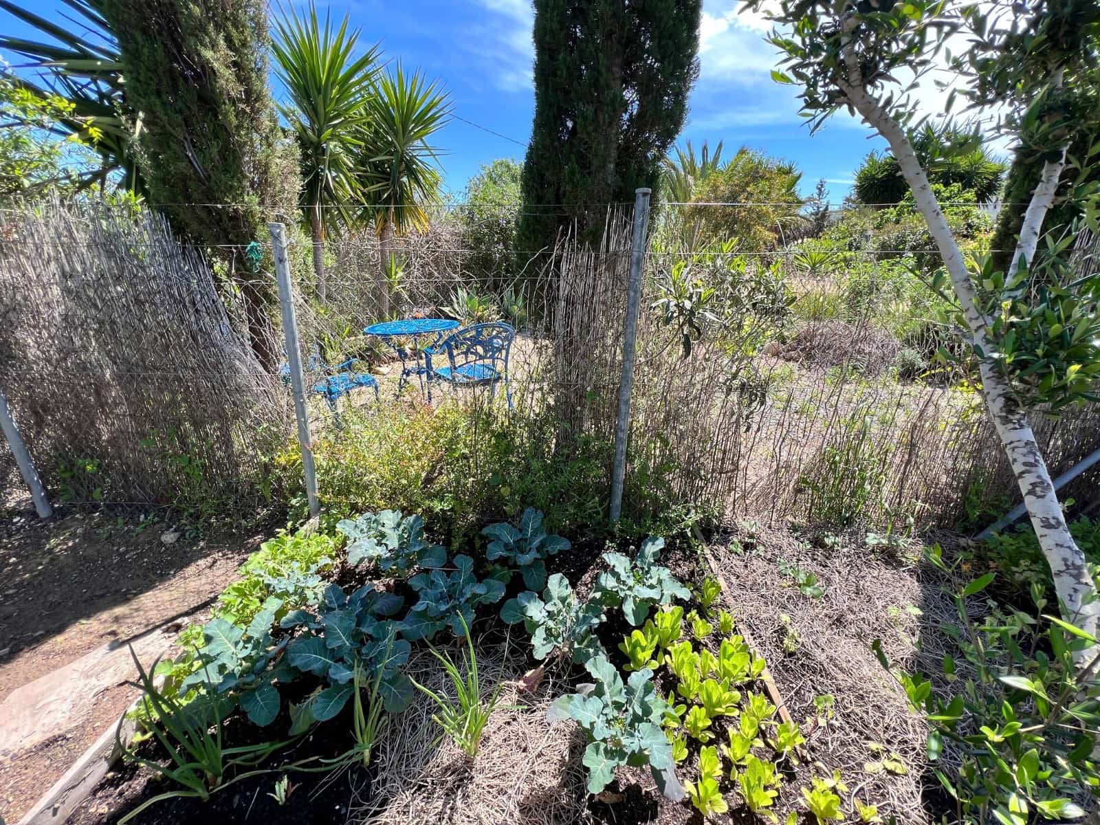 2 soverom Finca/Herregård til salgs i Cartagena med svømmebasseng garasje - € 259 500 (Ref: 9787833)