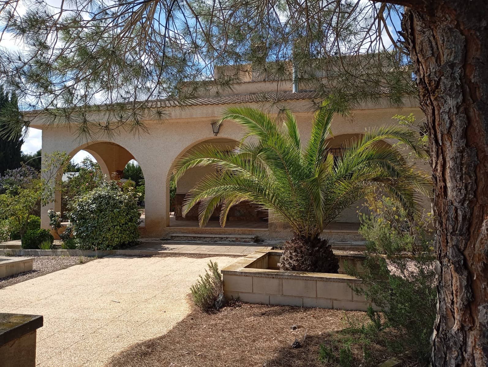 5 slaapkamer Villa te koop in Yecla met zwembad garage - € 299.900 (Ref: 9789809)