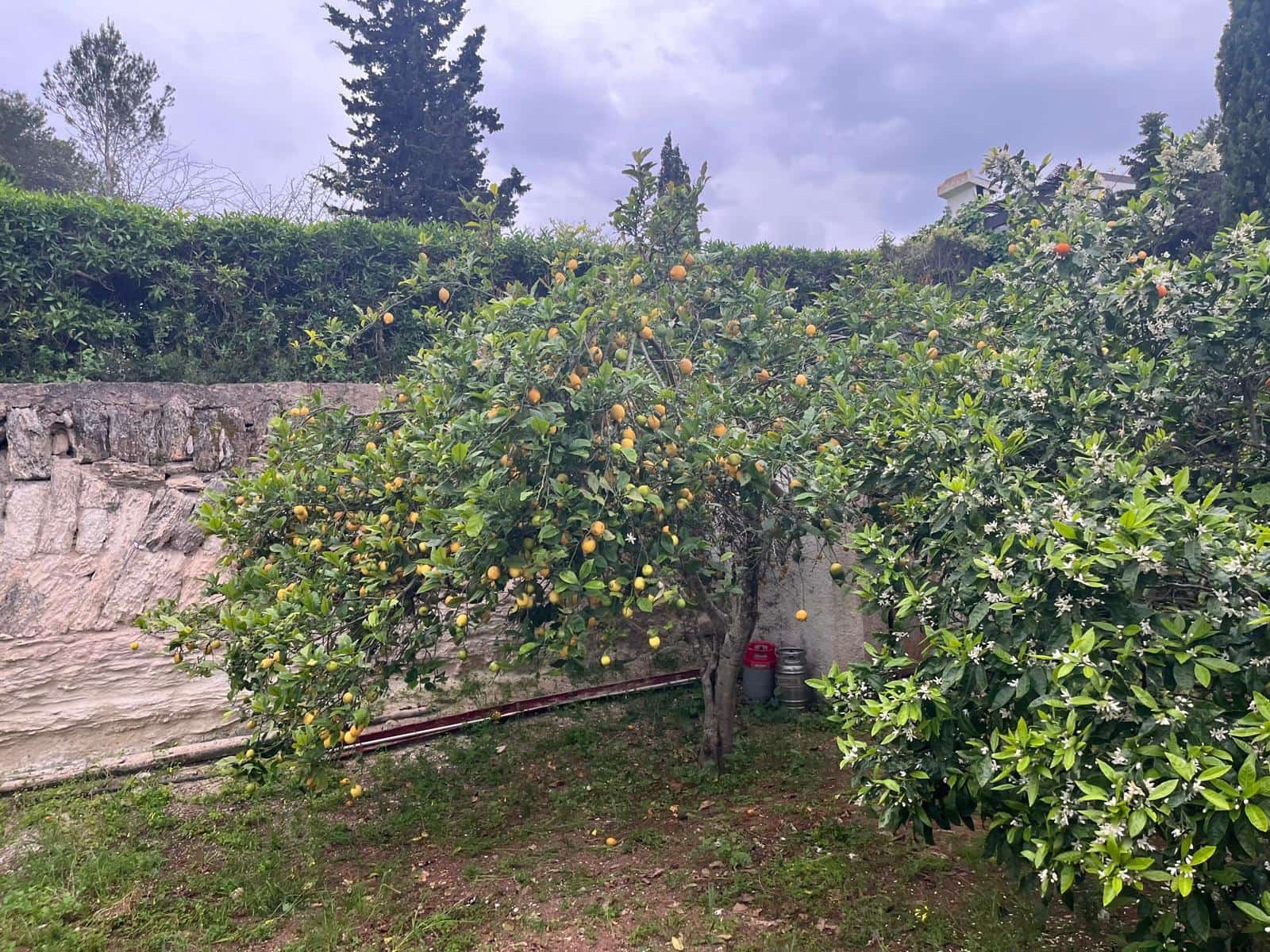 4 soveværelse Villa til salg i Javea / Xabia - € 670.000 (Ref: 9948783)