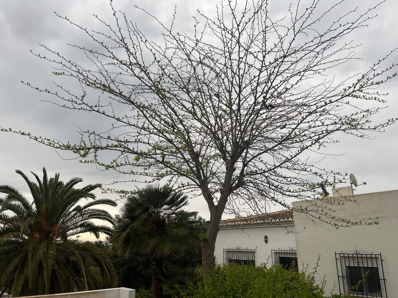 4 soveværelse Villa til salg i Javea / Xabia - € 670.000 (Ref: 9948783)