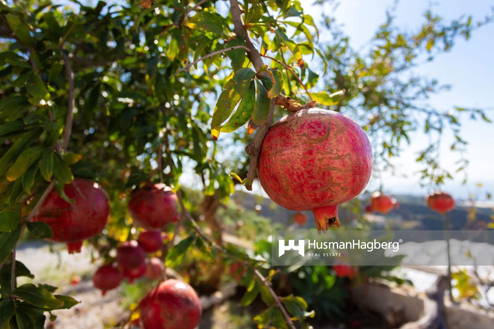 2 soveværelse Villa til salg i Algarrobo med swimmingpool - € 435.900 (Ref: 8638033)