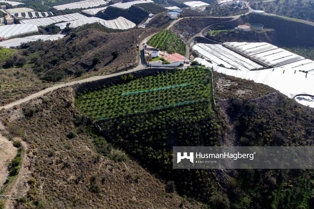 2 bedroom Villa for sale in Algarrobo with pool - € 435,900 (Ref: 8638033)