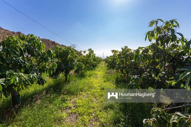 2 bedroom Villa for sale in Algarrobo with pool - € 435,900 (Ref: 8638033)