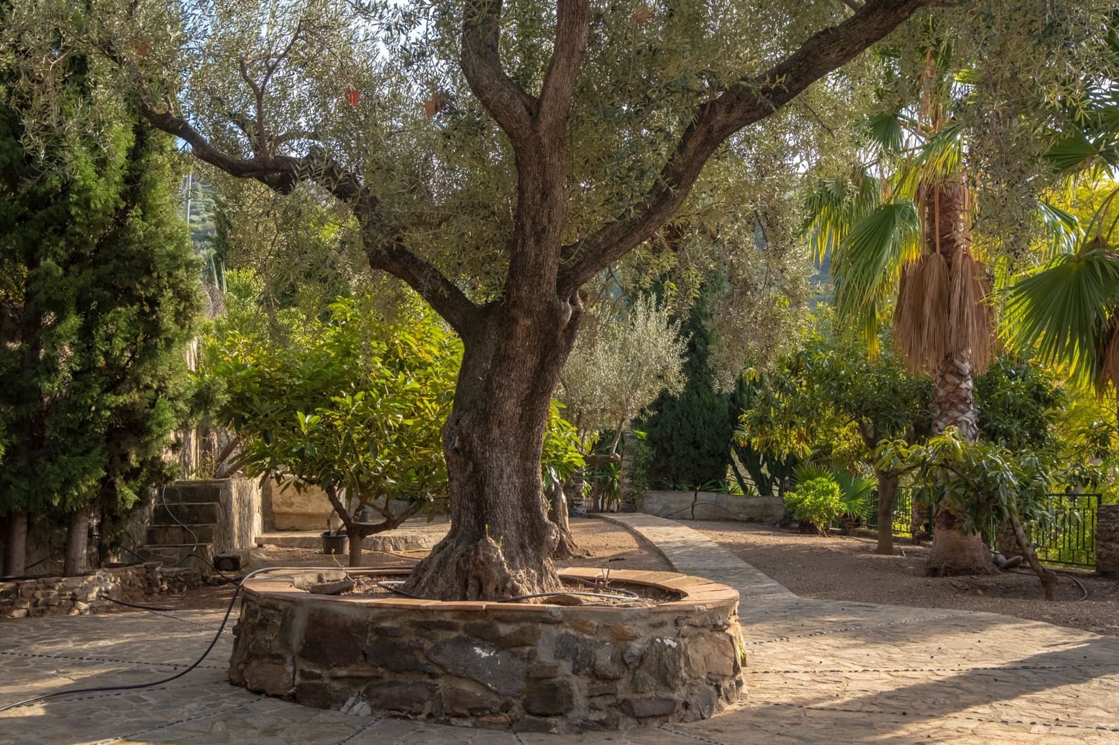 6 sovrum Villa till salu i Sayalonga med pool - 780 000 € (Ref: 9386317)