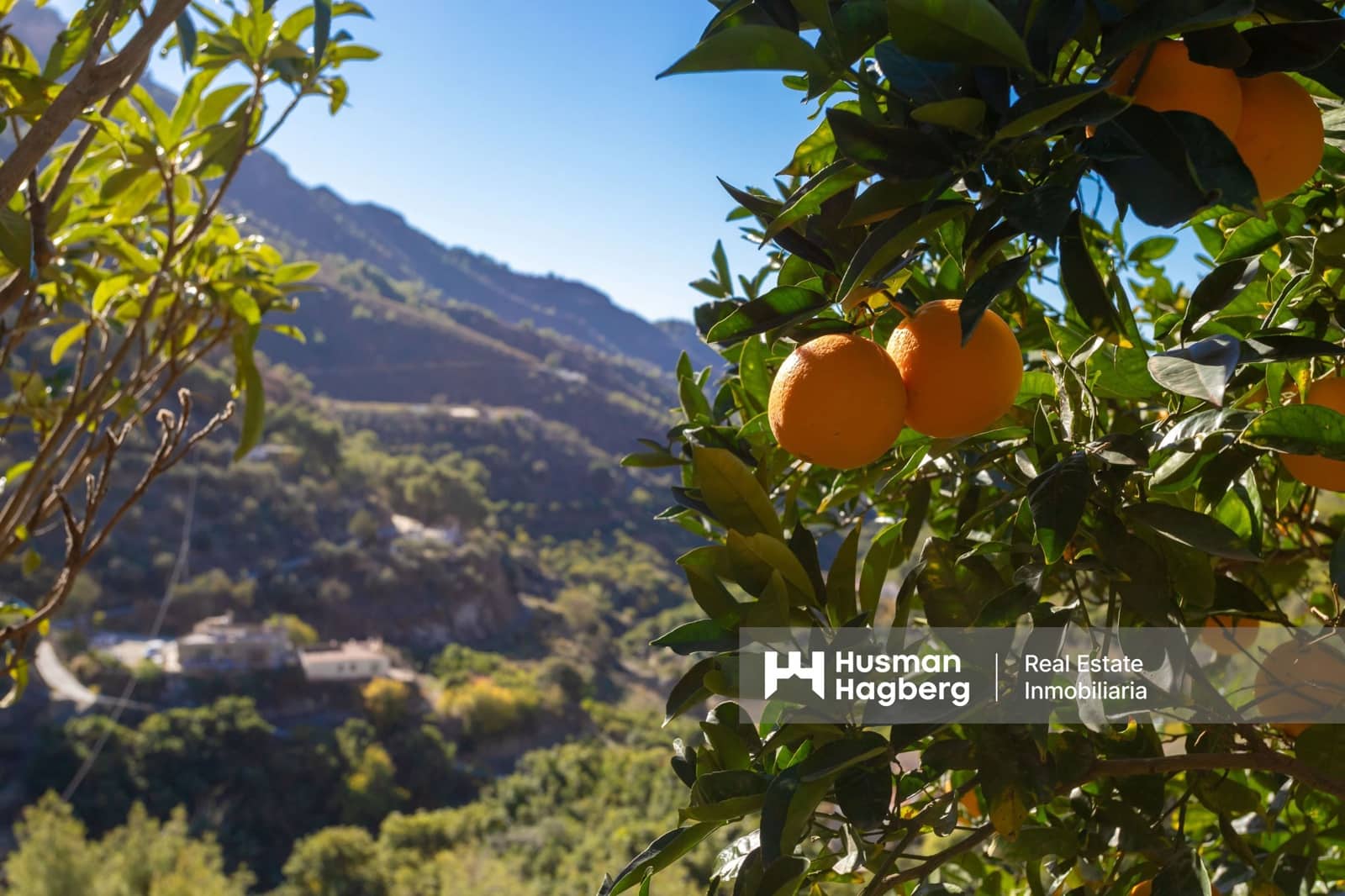 Chalet de 1 habitación en Nerja en venta con piscina - 290.000 € (Ref: 9492760)