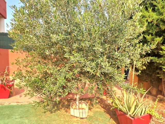 4 sovrum Lägenhet till salu i Los Urrutias, Cartagena - 225 000 € (Ref: 9032211)