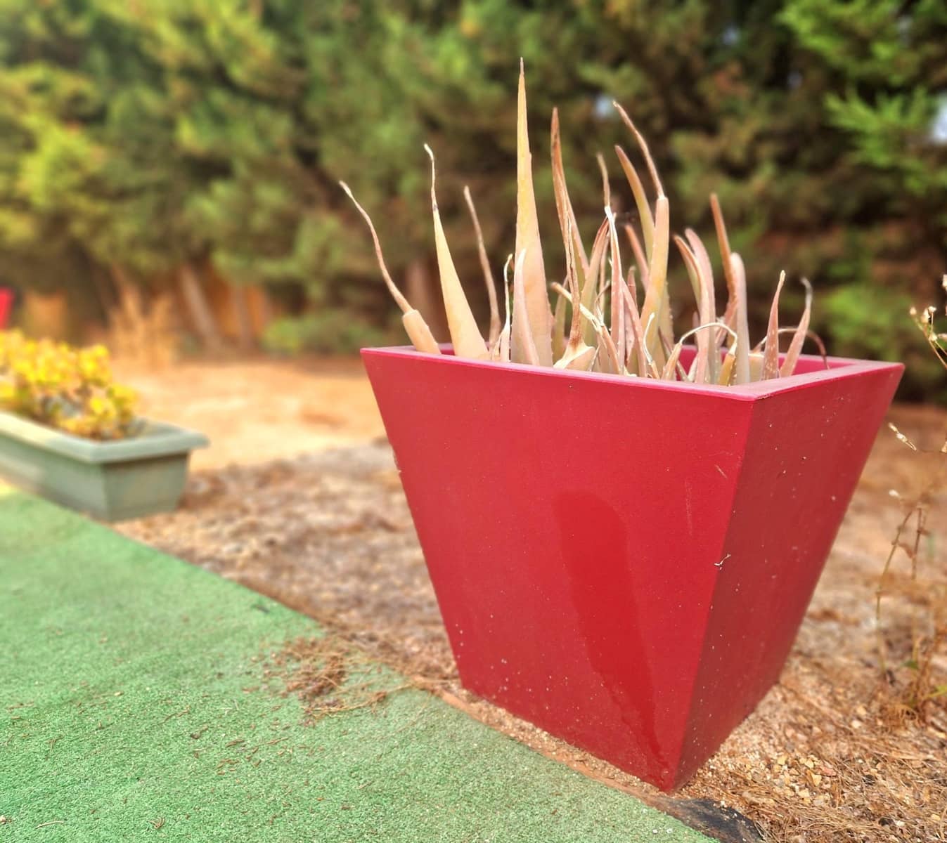 4 makuuhuone Huoneisto myytävänä paikassa Los Urrutias - 221 000 € (Ref: 9032211)