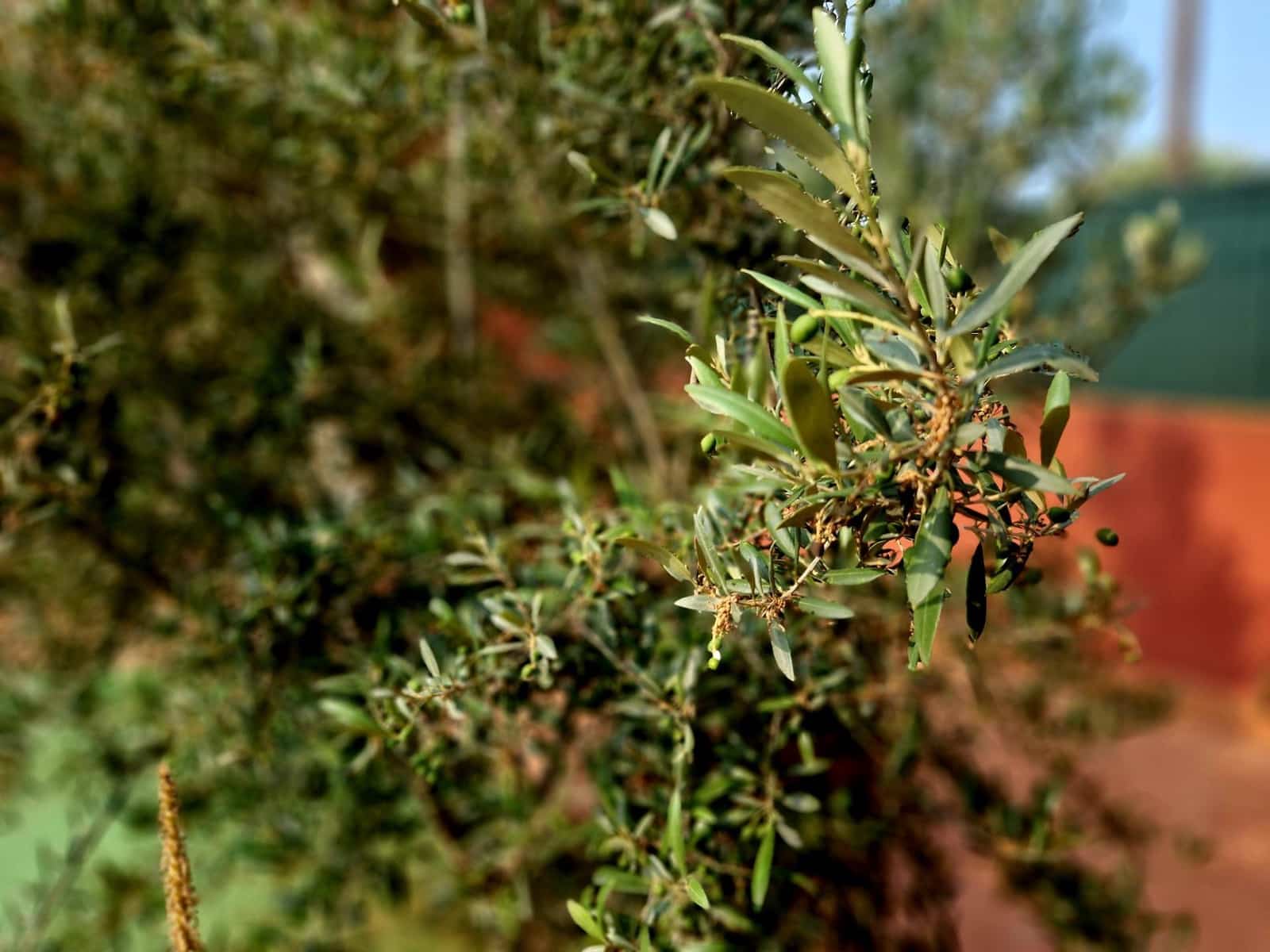 4 makuuhuone Huoneisto myytävänä paikassa Los Urrutias - 221 000 € (Ref: 9032211)