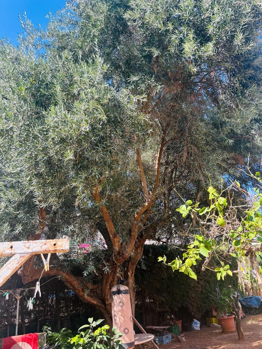 4 bedroom Villa for sale in Los Urrutias with garage - € 320,000 (Ref: 9204667)