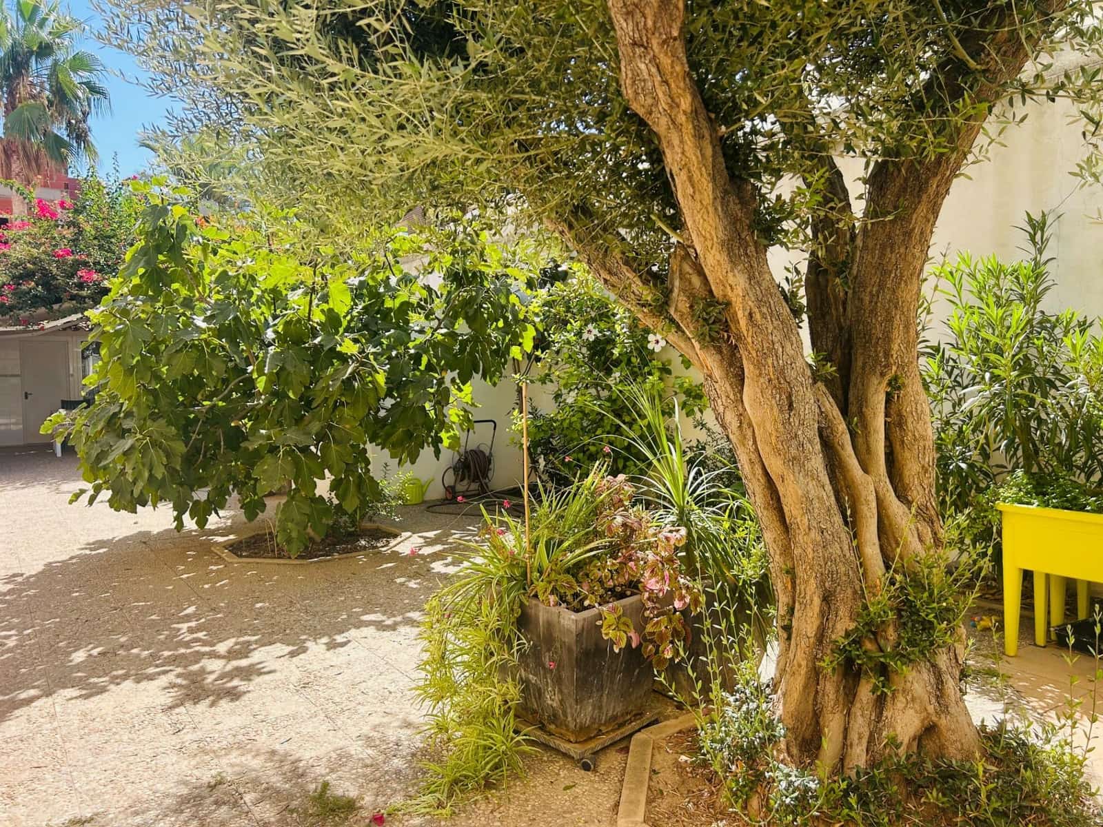 4 bedroom Villa for sale in San Pedro del Pinatar with garage - € 499,900 (Ref: 9243049)