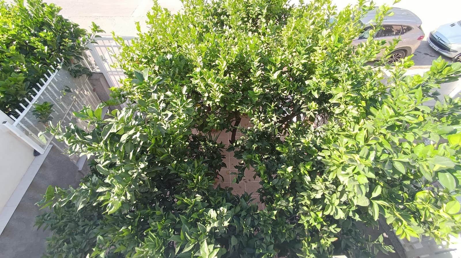 2 soveværelse Lejlighed til salg i Santiago de la Ribera - € 159.000 (Ref: 9344887)