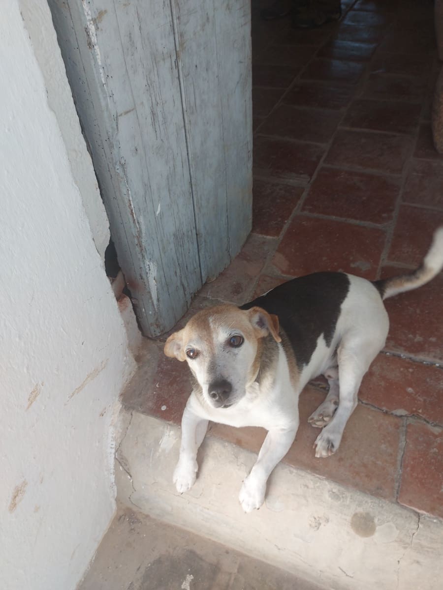 4 soveværelse Byhus til salg i Jimena de la Frontera - € 79.950 (Ref: 7067715)