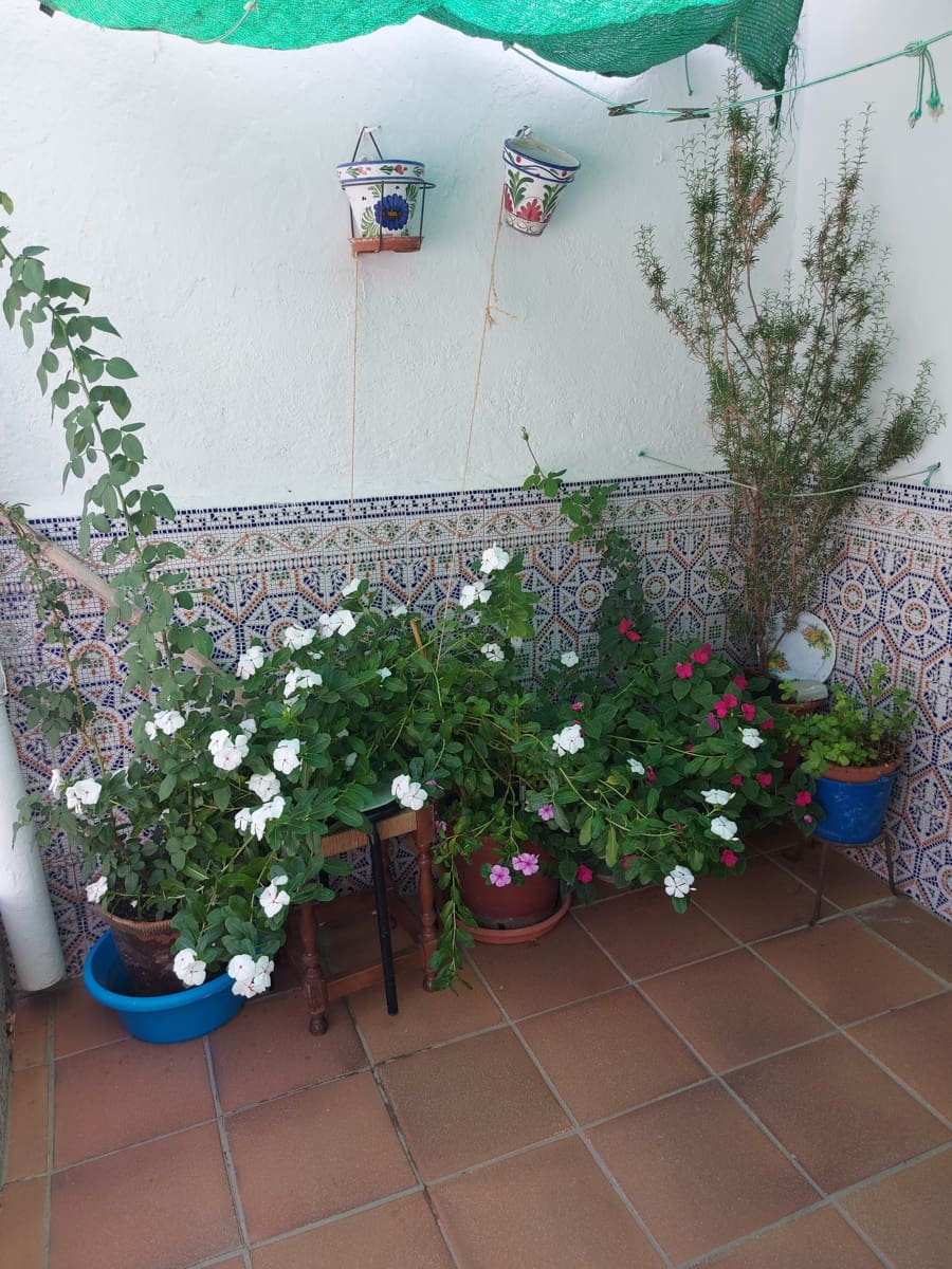 5 soveværelse Semi-Rækkehus til salg i Jimena de la Frontera med garage - € 190.000 (Ref: 7087264)